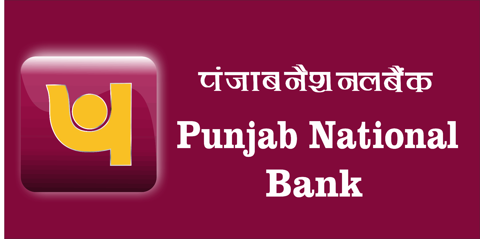 Punjab National Bank logo